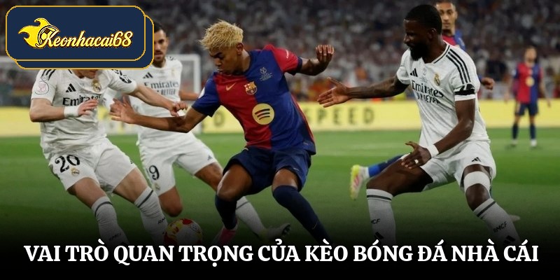 Vai trò quan trọng của kèo bóng đá nhà cái