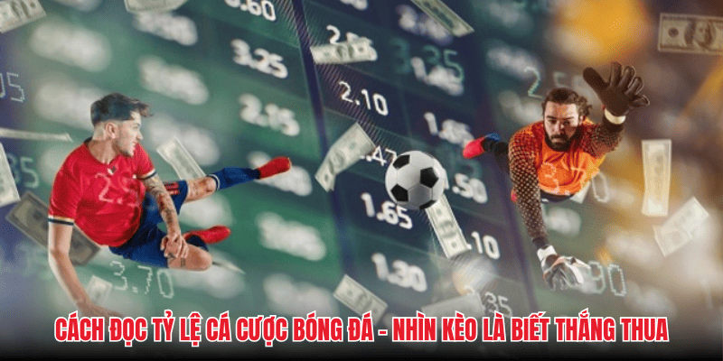 Cách Đọc Tỷ Lệ Cá Cược Bóng Đá – Nhìn Kèo Là Biết Thắng Thua