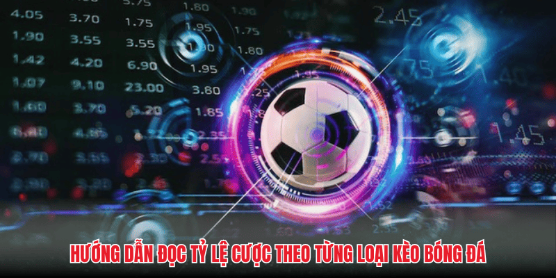 Hướng dẫn đọc tỷ lệ cược theo từng loại kèo bóng đá