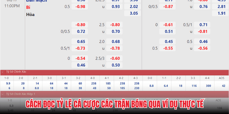Cách đọc tỷ lệ cá cược các trận bóng qua ví dụ thực tế