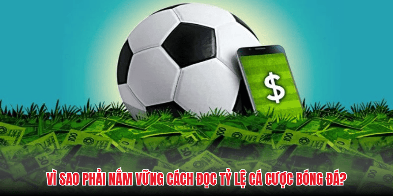 Vì sao phải nắm vững cách đọc tỷ lệ cá cược bóng đá?