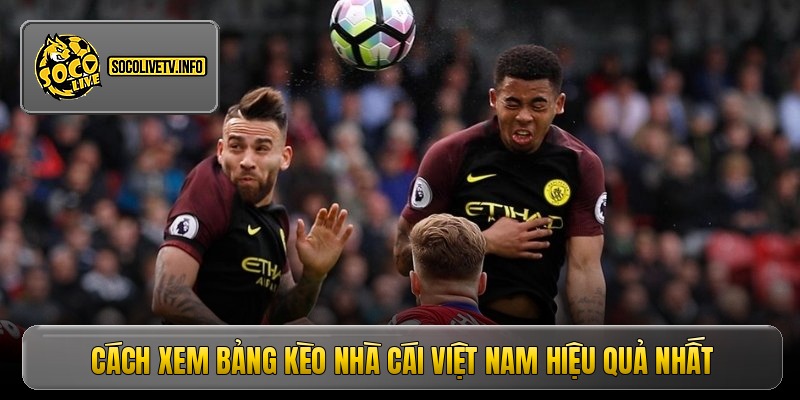 Kèo nhà cái Việt Nam – Thủ thuật ăn trọn tỷ lệ giải quốc gia
