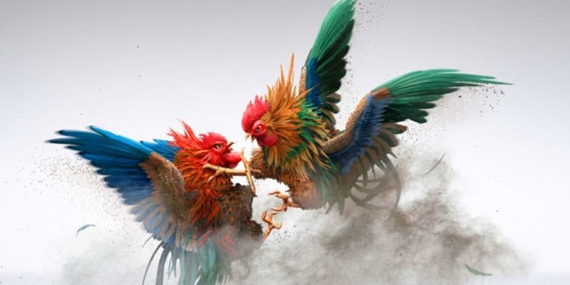 Đá Gà Tg88 – Những Màn So Tài Cựa Dao Kịch Tính