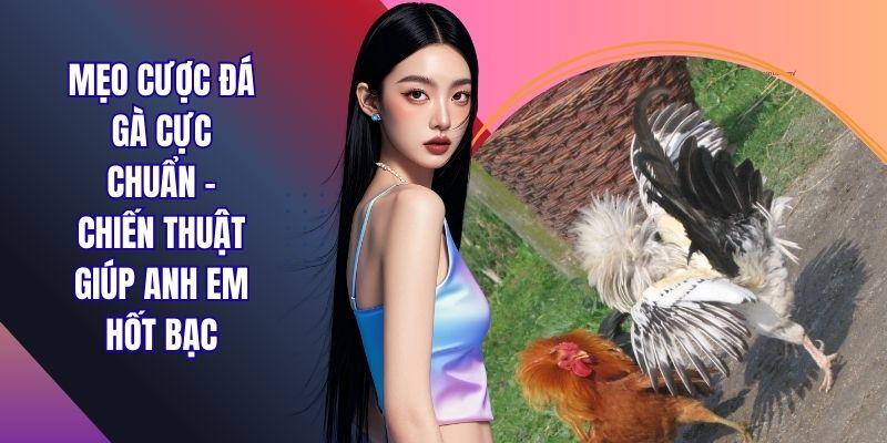 Mẹo Cược Đá Gà Cực Chuẩn – Chiến Thuật Giúp Anh Em Hốt Bạc