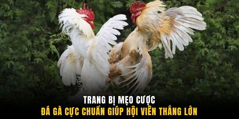 Biết cách linh hoạt trong từng chiến thuật