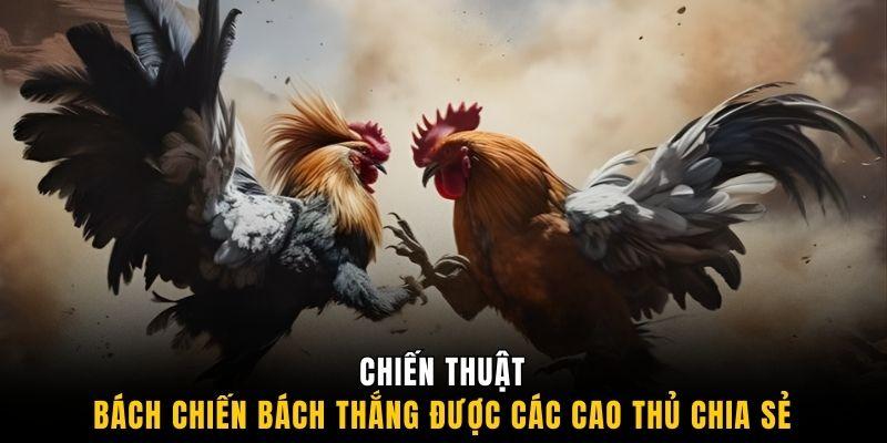 Chiến thuật bách chiến bách thắng được các cao thủ chia sẻ