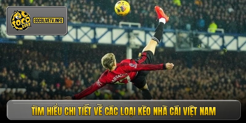 Tìm hiểu chi tiết về các loại kèo nhà cái Việt Nam