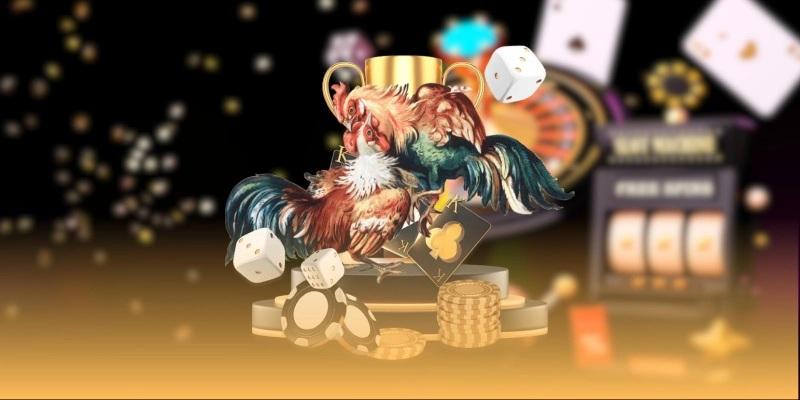 Bí quyết soi kèo và đặt cược đá gà SIN88 hiệu quả