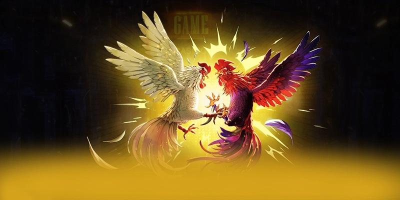Các hình thức thi đấu phổ biến tại đá gà SIN88