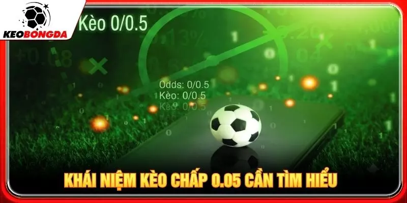 Kèo Chấp Đồng Banh Sunwin Là Gì Và Cách Đọc Chính Xác? - 2