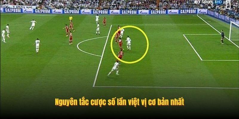 Cược Số Lần Việt Vị - Đánh Giá Thế Trận Qua Tỷ Lệ Kèo