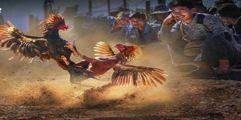 Nhà Cái F8BET - Mang Đến Không Gian Giải Trí Sôi Động - 2